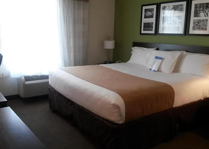 Petrostay Inn & Suites Cotulla